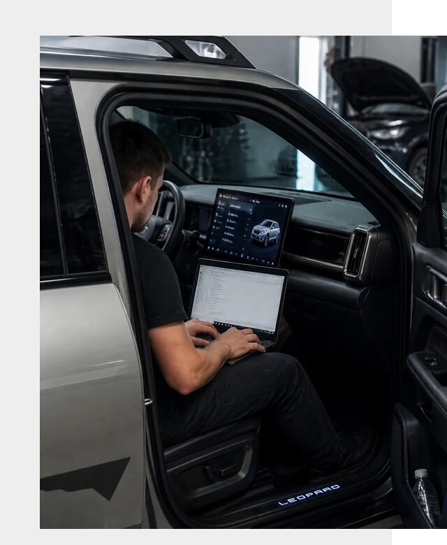 Русификация BYD Leopard 3 в Боре по цене от 20676 р. | ФастМобиль-Бор